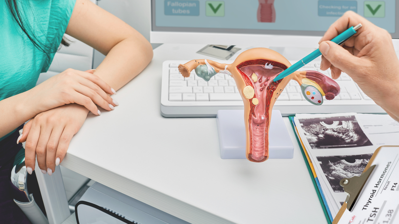 Healthcare provider explaining fertility and hormone health to a patient