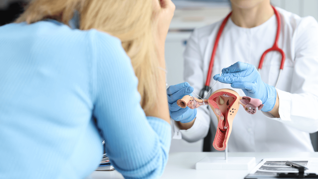 Doctor explaining a female reproductive system model showing blocked fallopian tubes and egg movement.