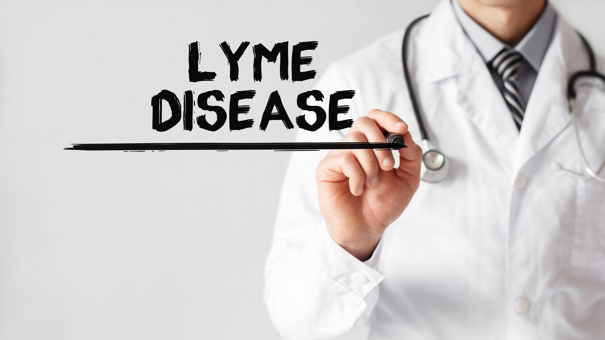 lyme disease