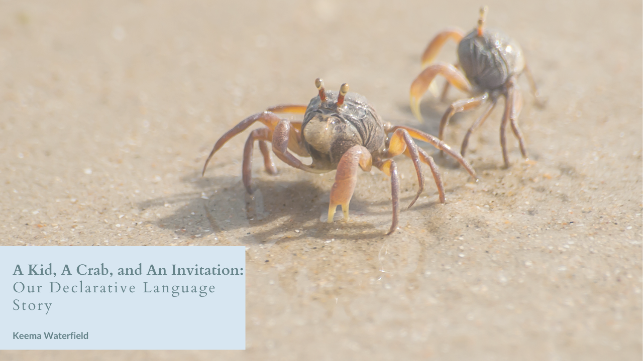 A Kid, a Crab, and an Invitation