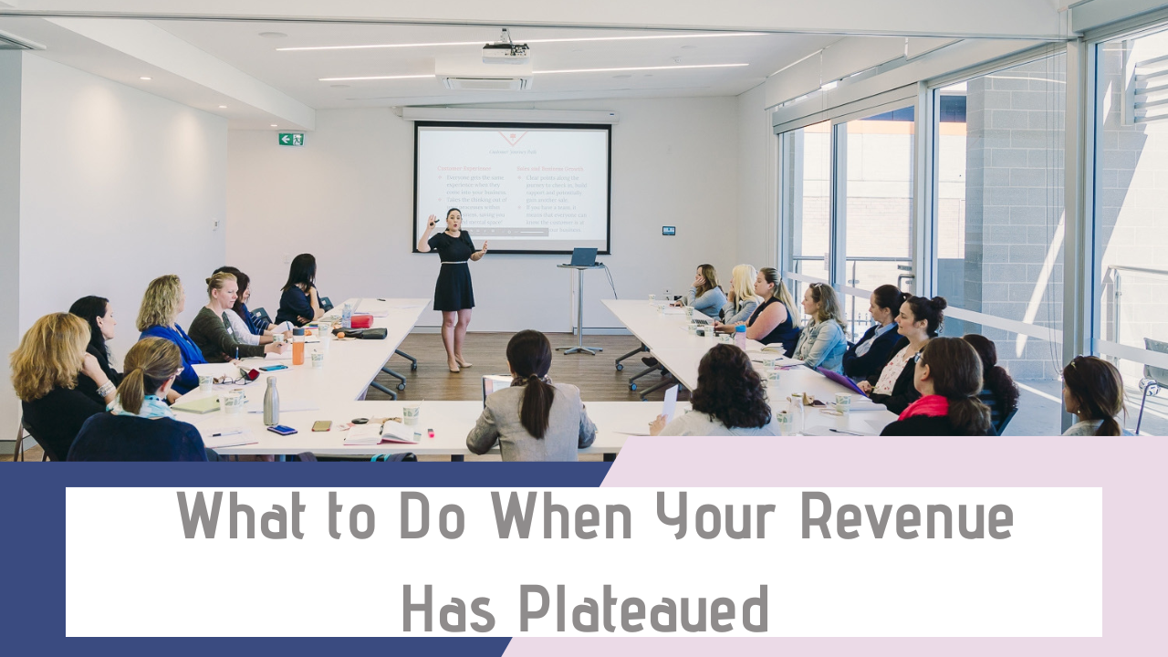 Sales Help for Women in Business: What to Do When Women in business Your Revenue Has Plateaued