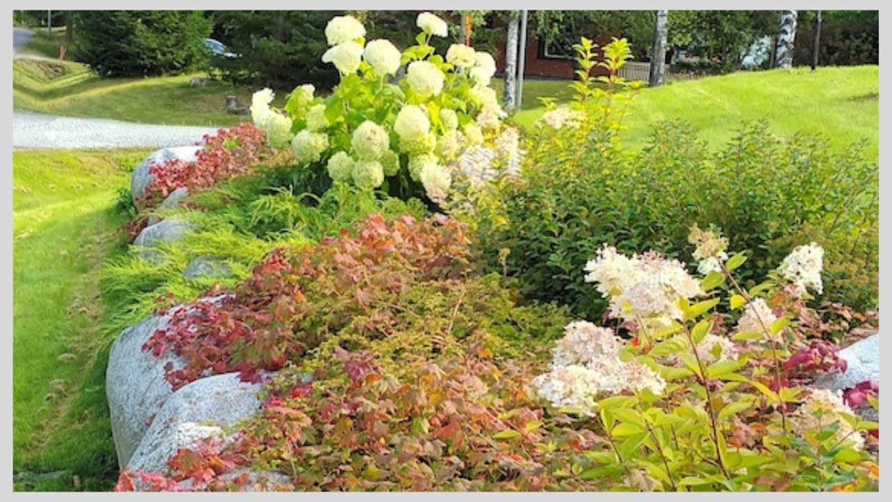 Miten tehdään helppohoitoinen istutusalue