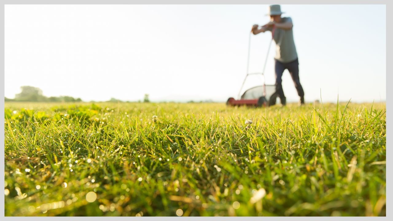 3 tapaa tehdä pihasta työleiri