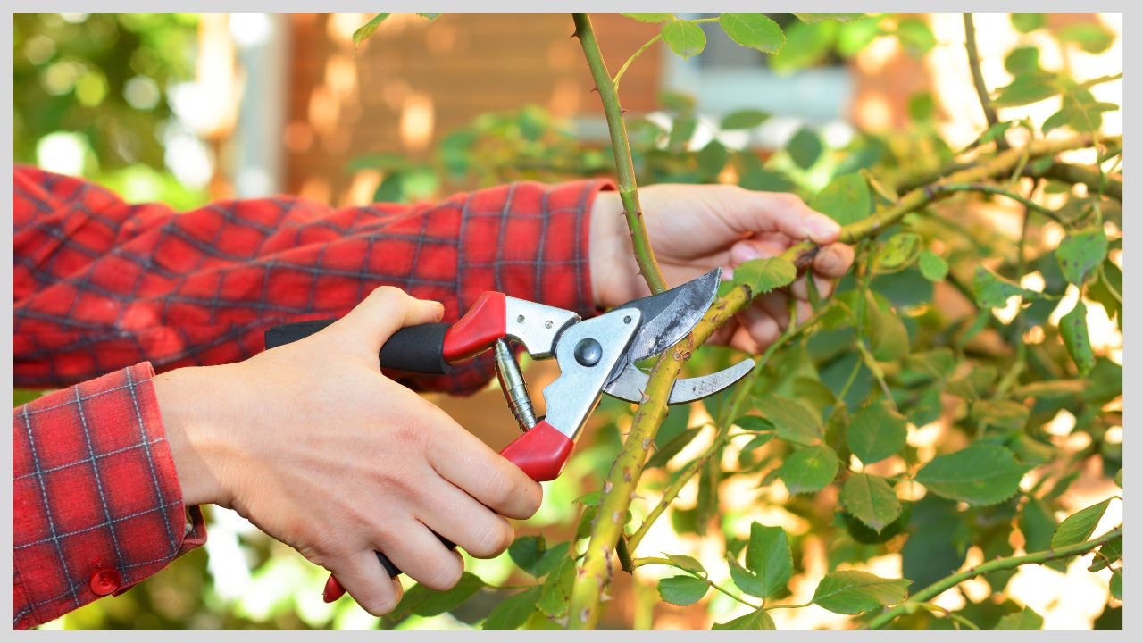 3 parasta käsityökalua leikkaustöihin