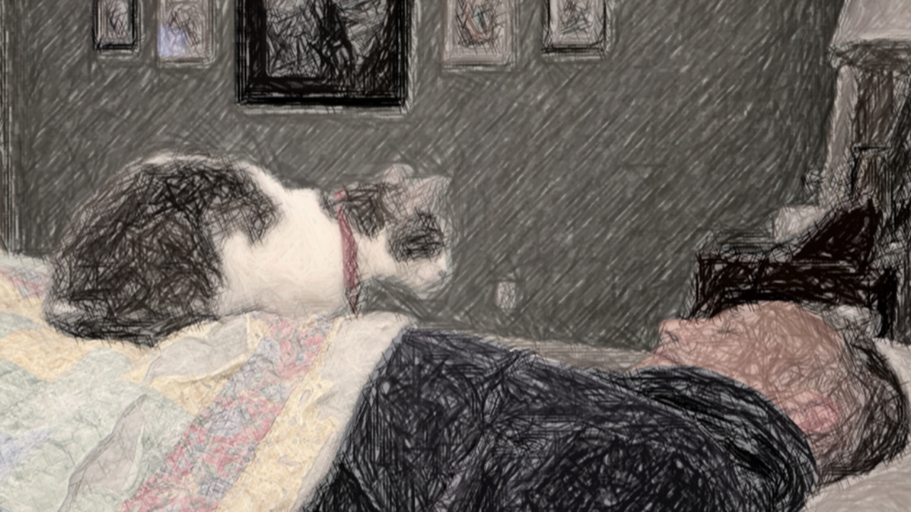 Cat and man together