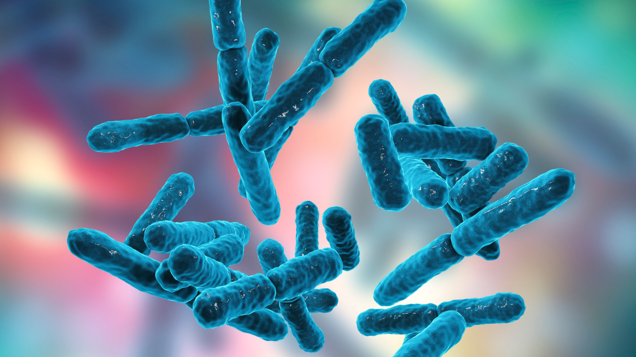 Probiotics