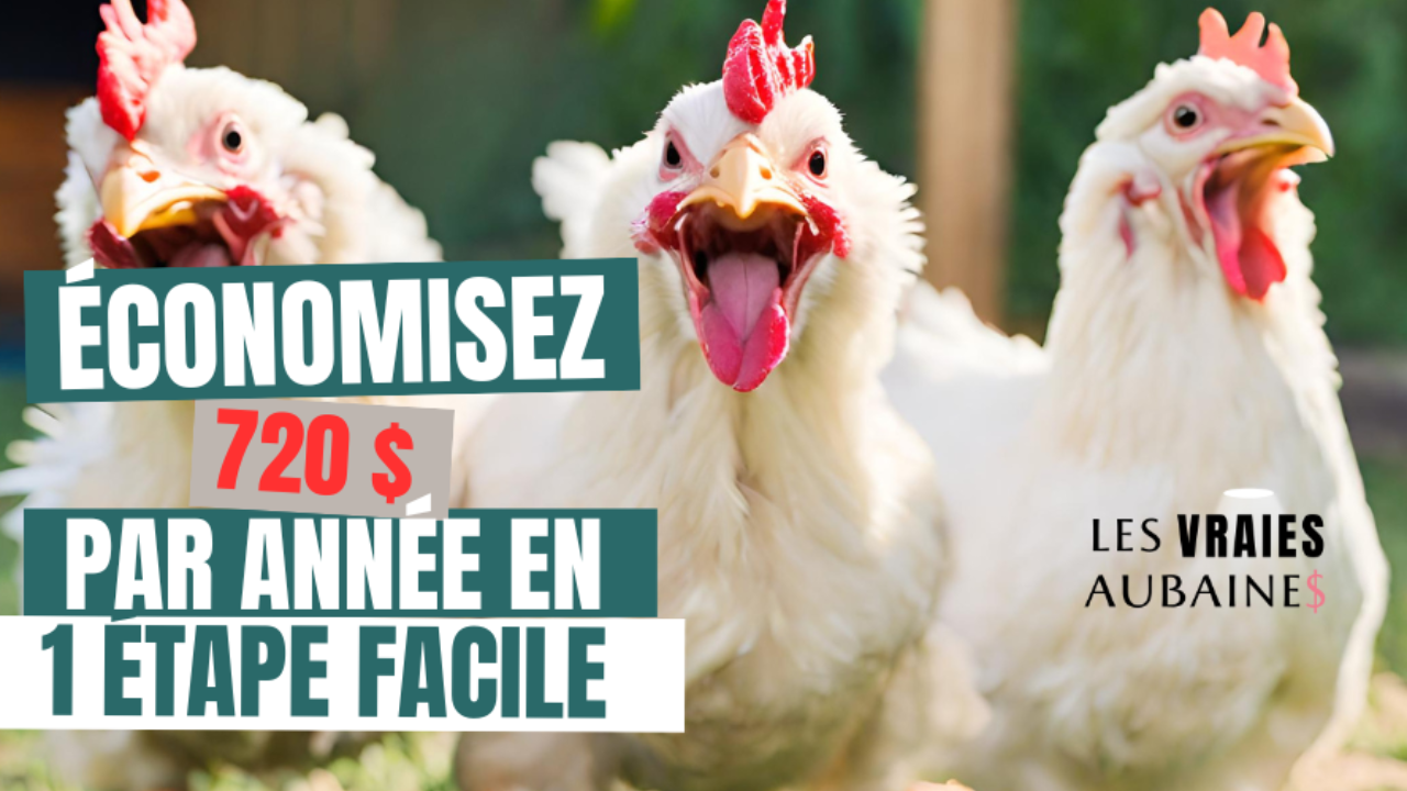 Comment sauver 720$ par an en 1 étape facile ?