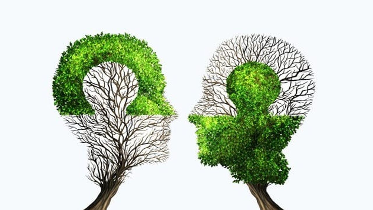 Polyvagal Theory daily application in everyday life