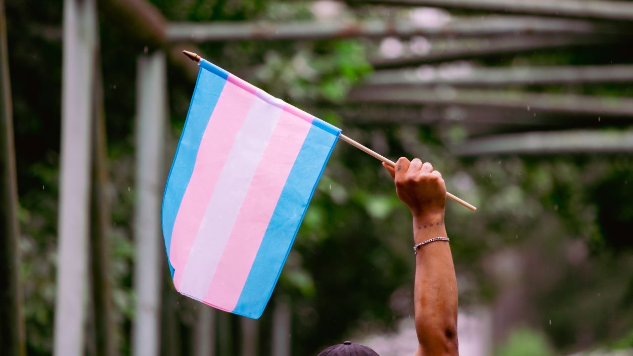 Image is of a bare arm holding up a transgender flag. On TDOV we need to support the transgender community and bring awareness to their issues and achievements. 