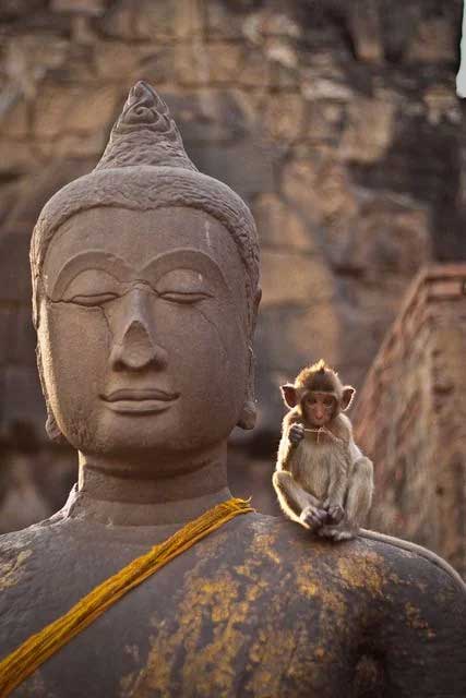 tantric tradition and life force energy