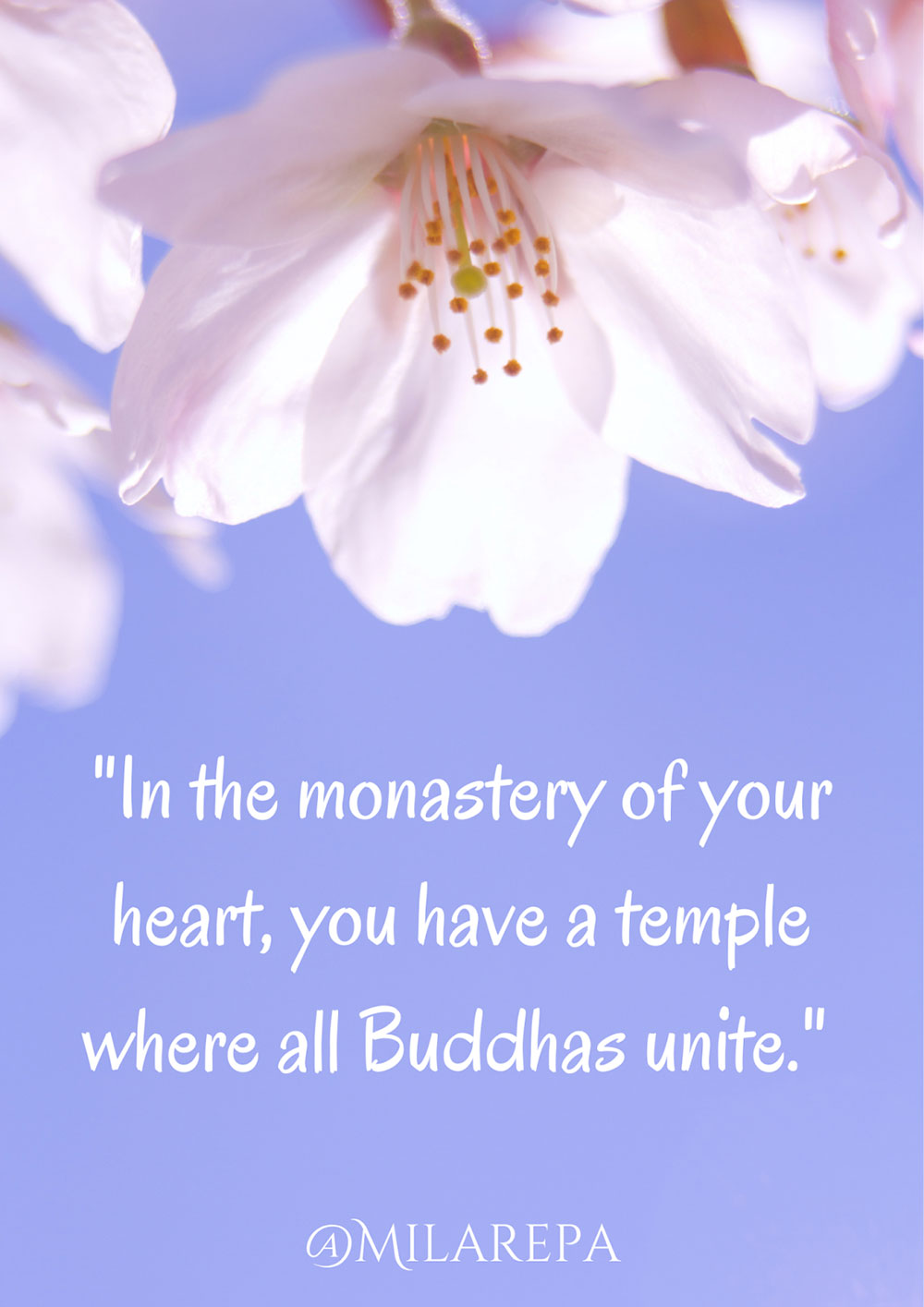 Master Milarepa Quotes