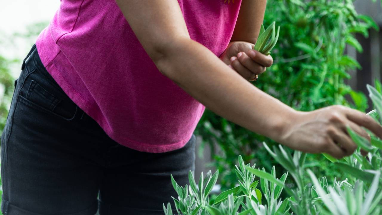 Benefits Of Confirming Ovulation Yourself Each Cycle Benefits Of Confirming Ovulation Yourself Each Cycle