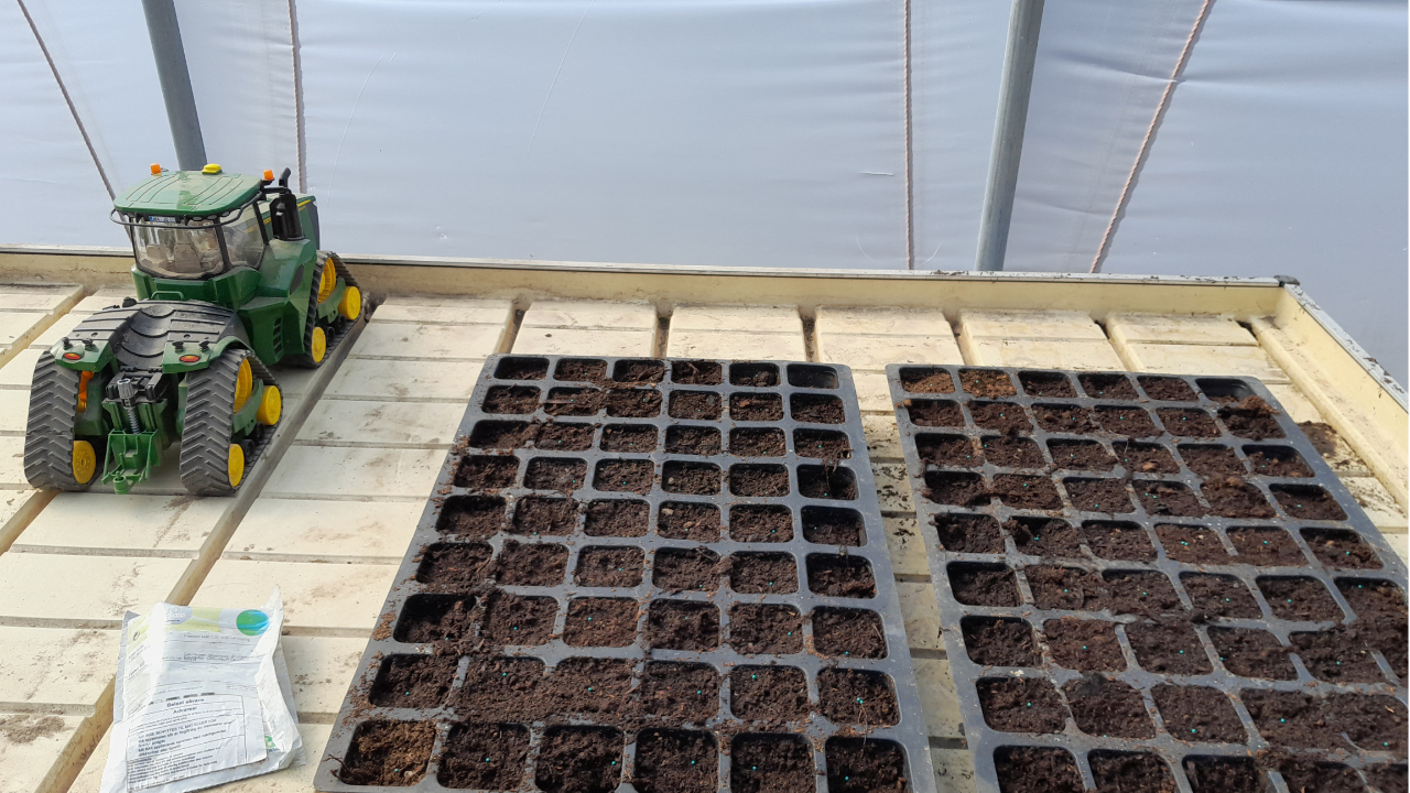 ybegynner i kjøkkenhagen som sår grønnsaker i hagen