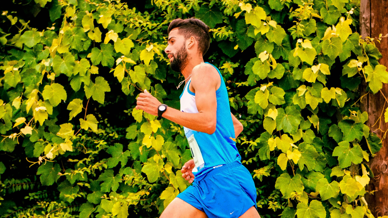 gut health for performance