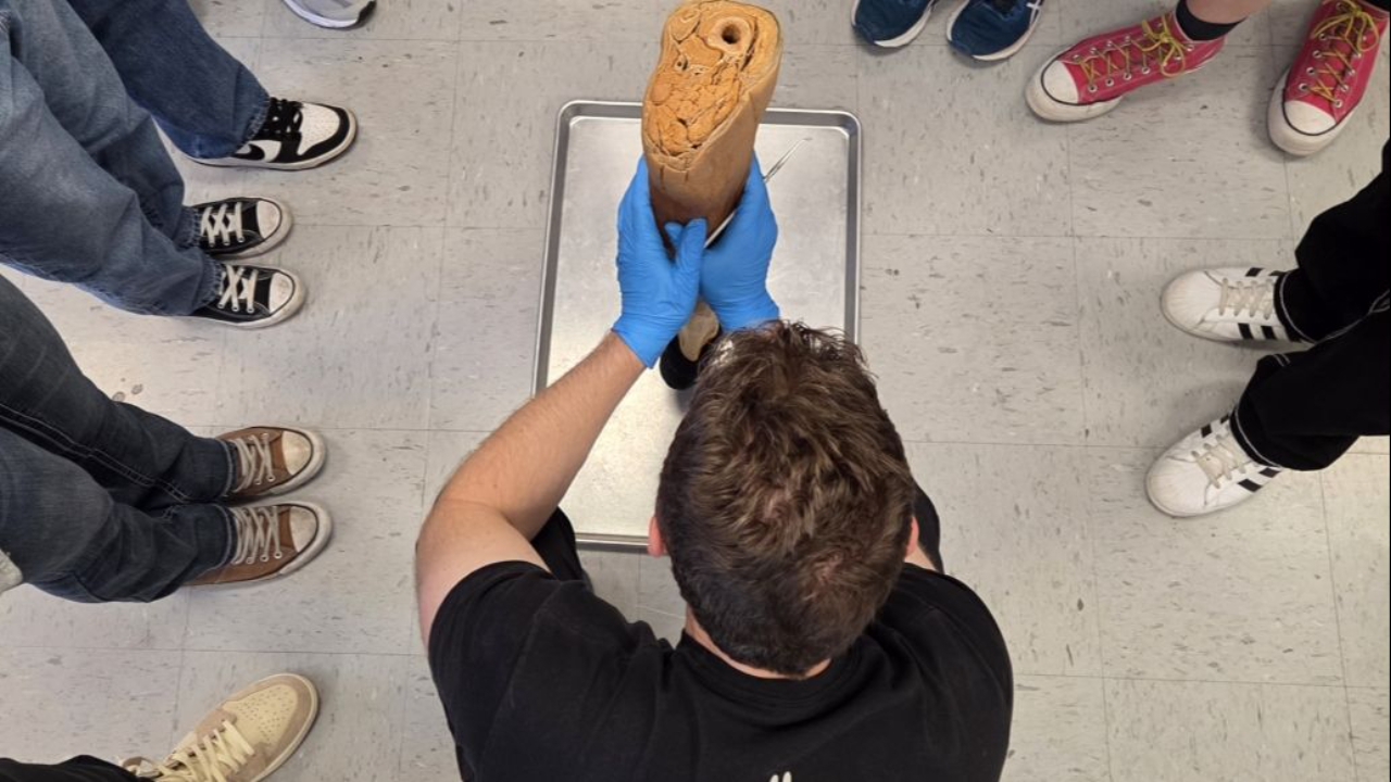 Explore five effective techniques for mastering anatomy