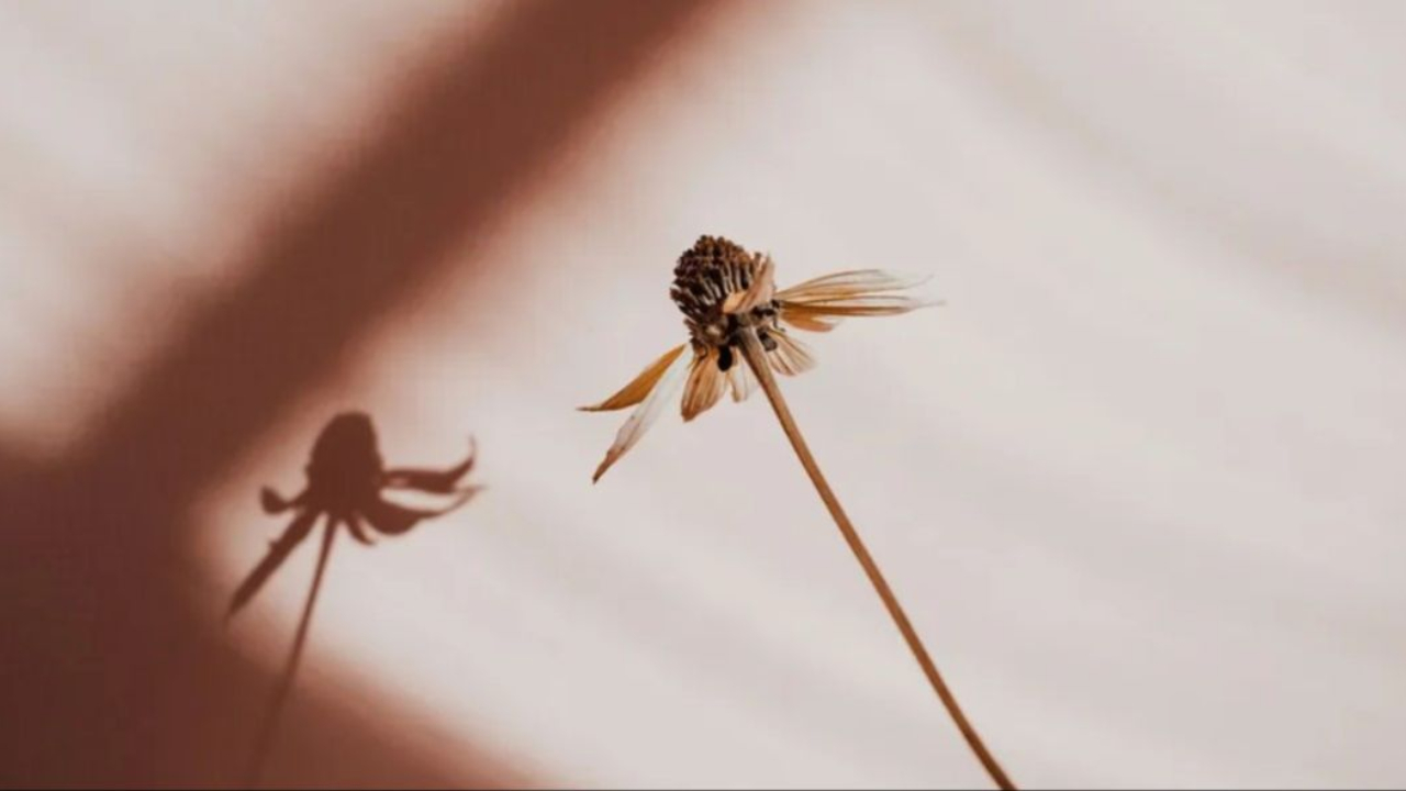 Just surrender to God and see that everything is done by God himself, I have nothing to do, I have nothing to worry.