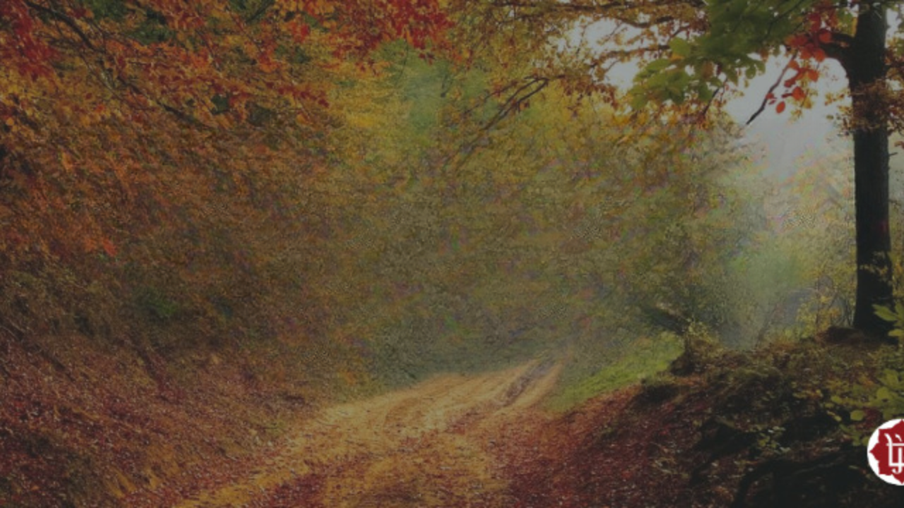 See that in your mind, all this ignorance and illusion of being separated from God consciousness, separated from the memory of God consciousness is carried away, is smashed, is vanished. You must see that. And hṛtvā brahmamayīṁ citim, and focus your mind to Brahman, to Lord Śiva, in each and every action of this universe. Laukike vyavahāre’pi, no matter whatever you do in this world, everything will become divine.