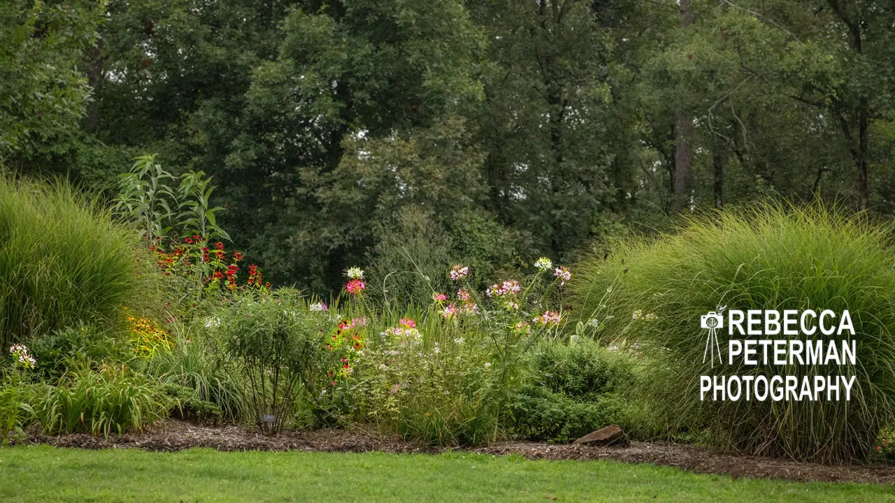 Flowers at Entergy Park in Hot Springs, Arkansas