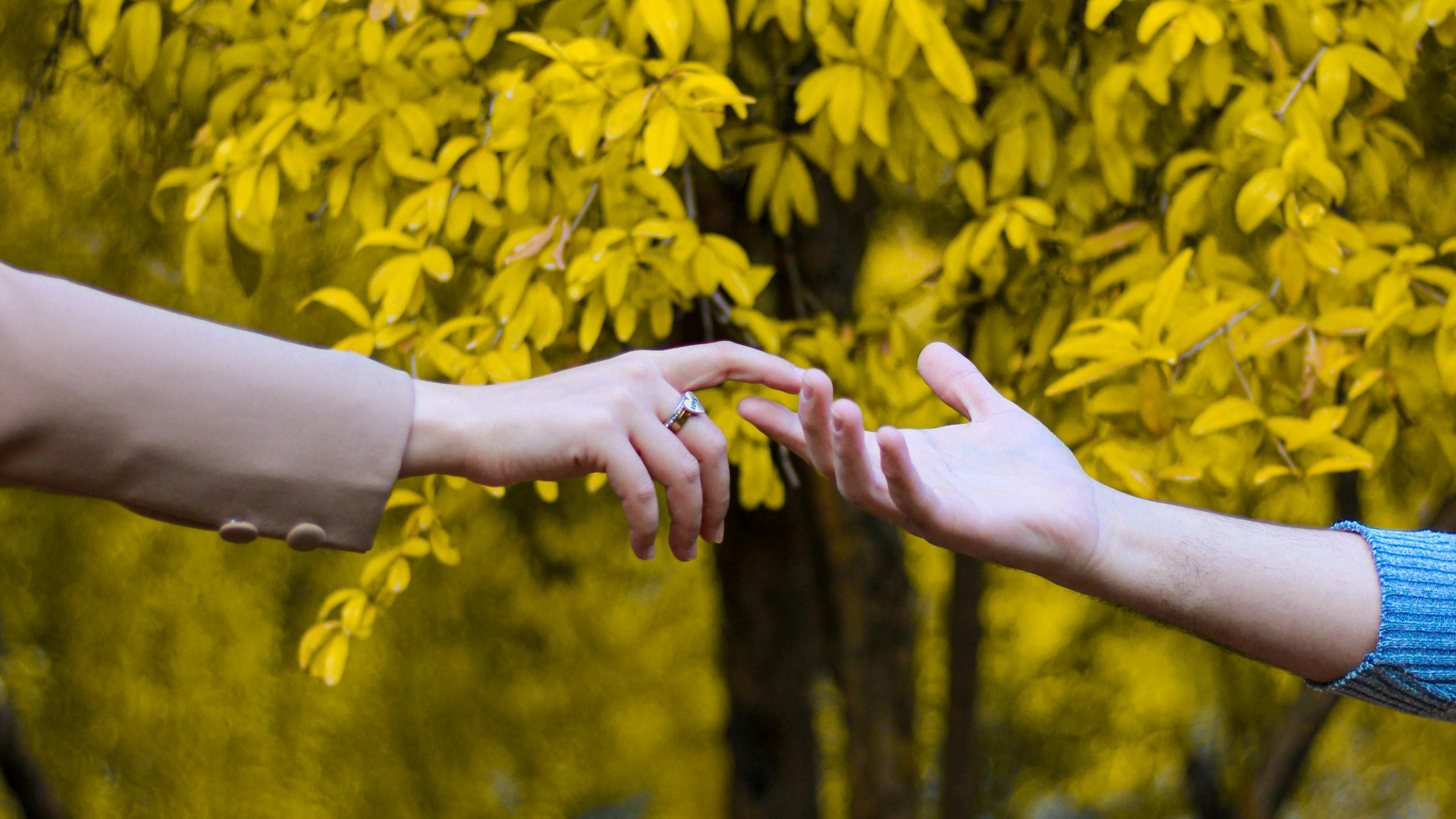 The Role of Nature in Healing Anxiety