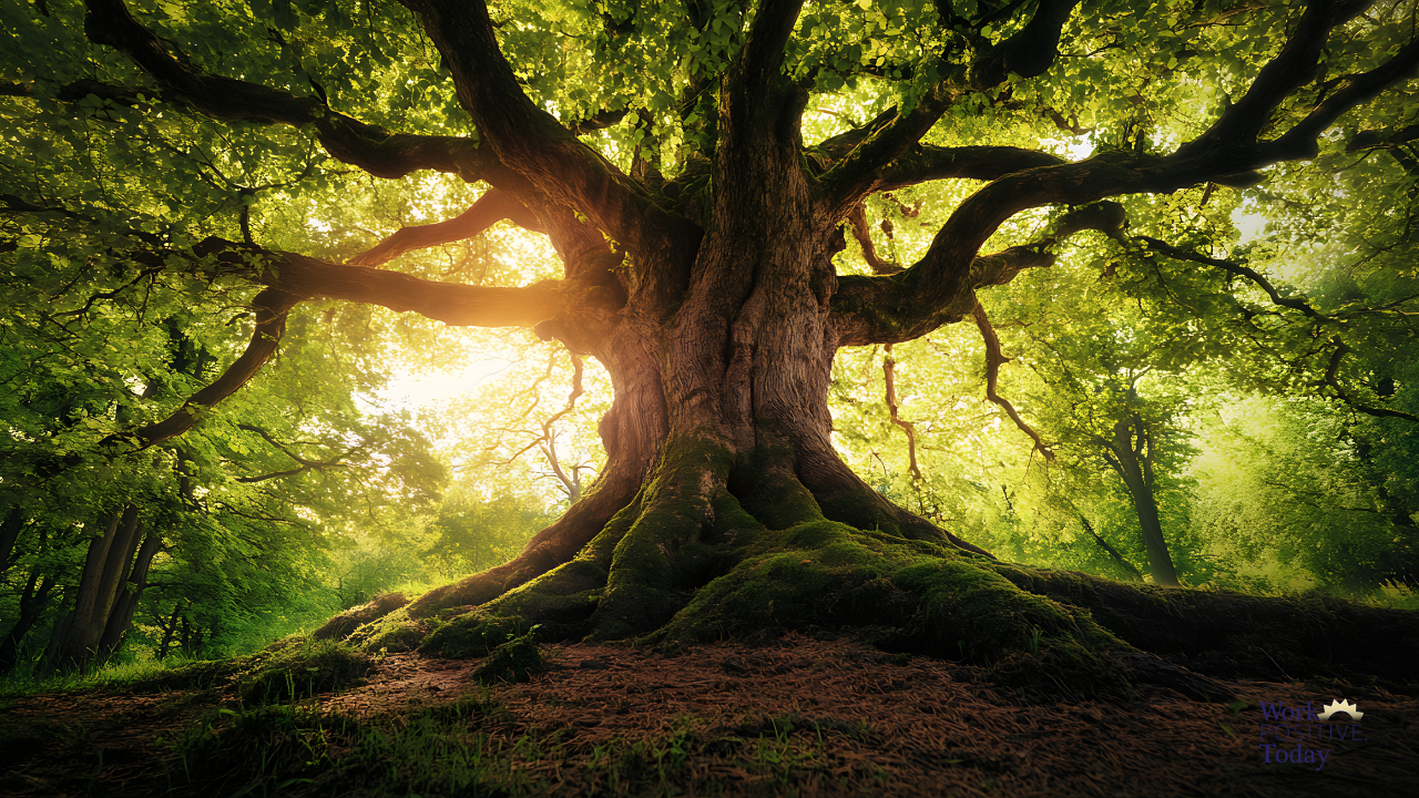 Majestic ancient tree with massive trunk, visible strong root system, and gracefully curved flexible branches spreading through lush green forest canopy with golden sunlight streaming through, illustrating the leadership metaphor of stable roots with adaptable branches for flexible confidence in a VUCA world.