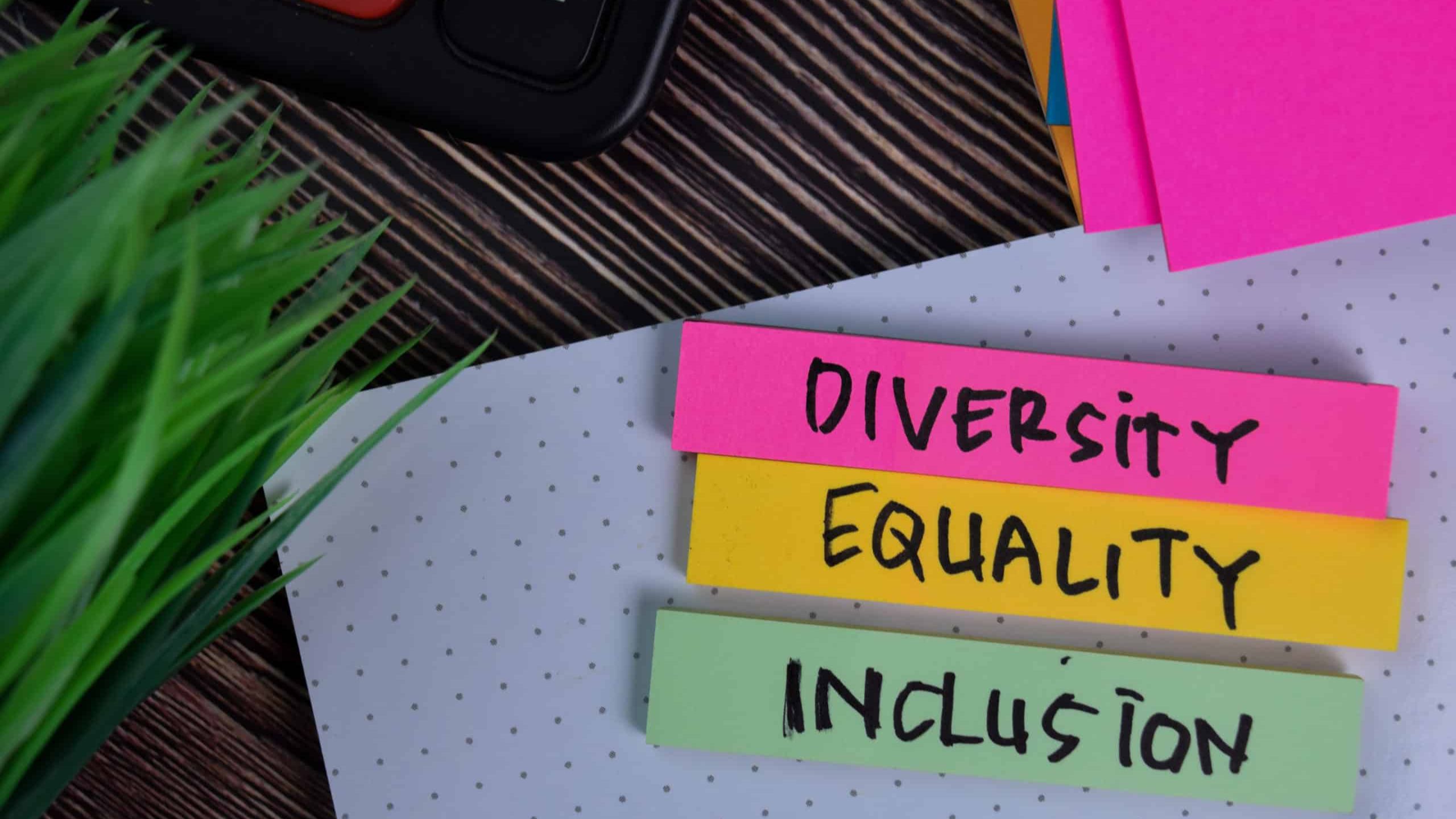 Diversity Equiality and Inclusion writen on different colored sticky notes