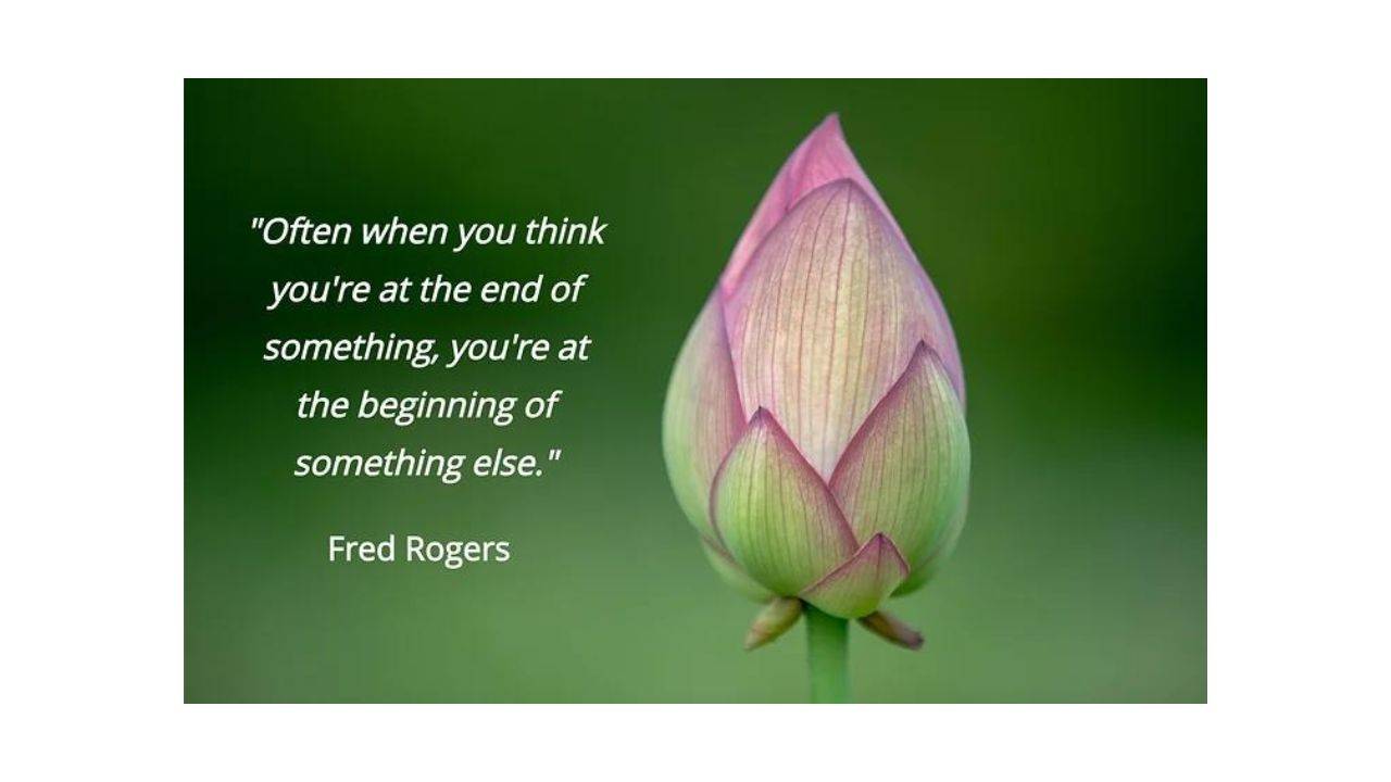 A Lotus bud with the quote; "Often when you think you're at the end of something, you're at the beginning of something else."