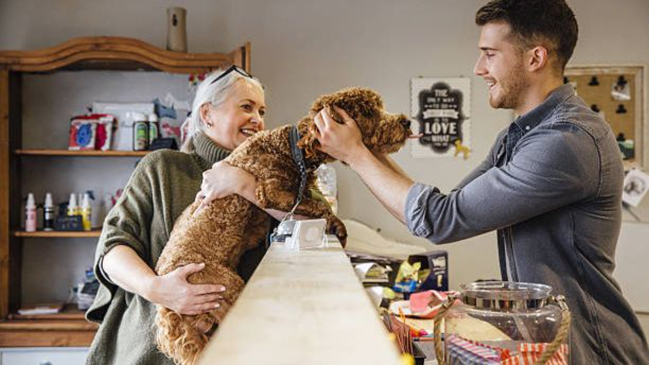 A dog at grooming facility
