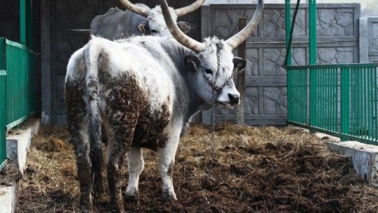 MESSY DISCIPLESHIP: Quit Fantasizing A Pristine Ministry