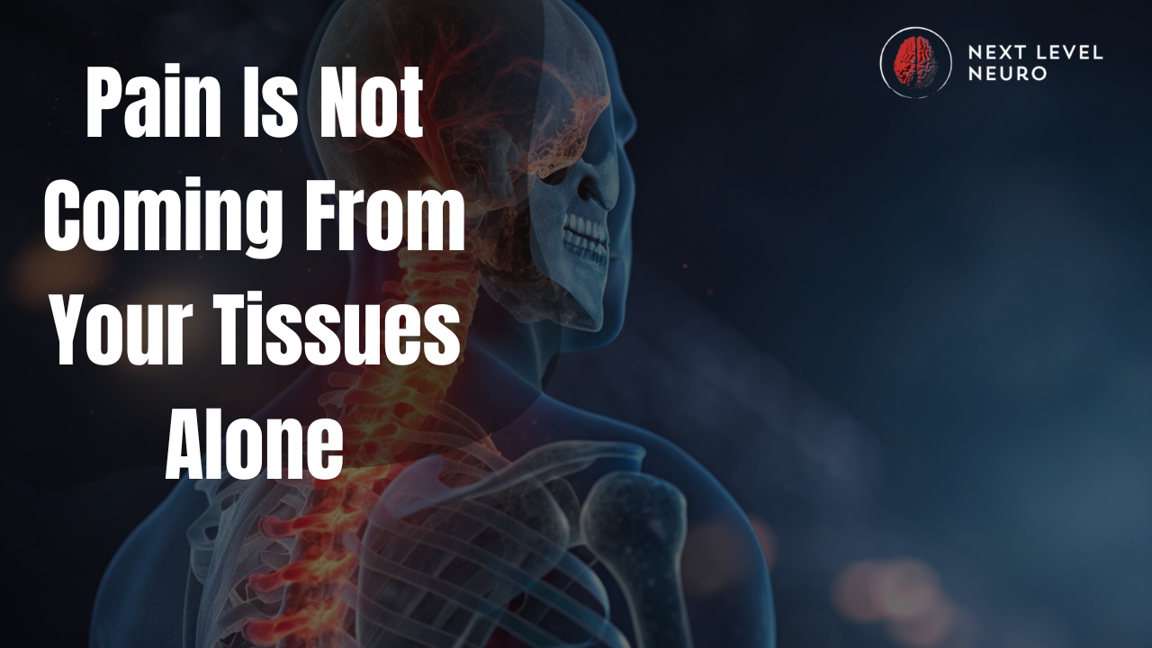 Illustration showing how the brain modulates pain as a protective output based on threat, sensory input, and safety.