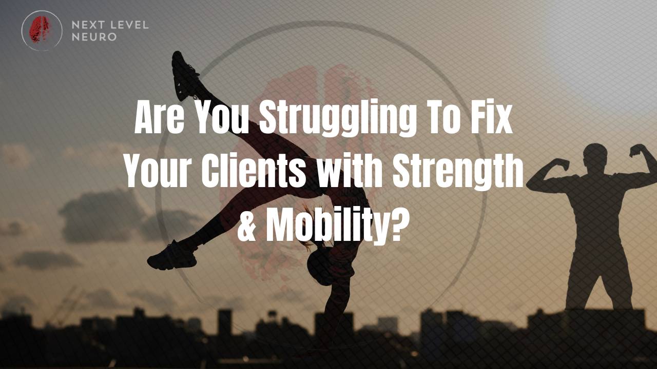 Therapist coaching a client through strength training with sensory mismatch considerations.