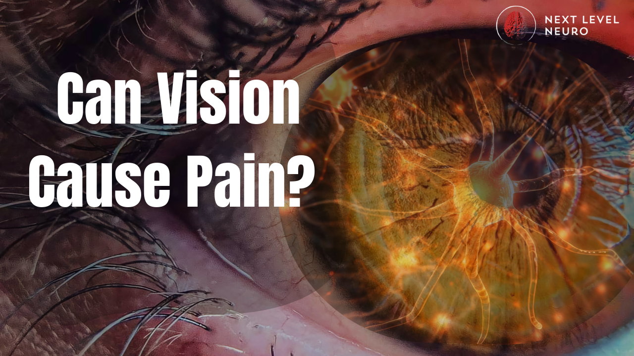 Vision and Pain: Why Your Brain Tightens When It Cannot Trust the Map
