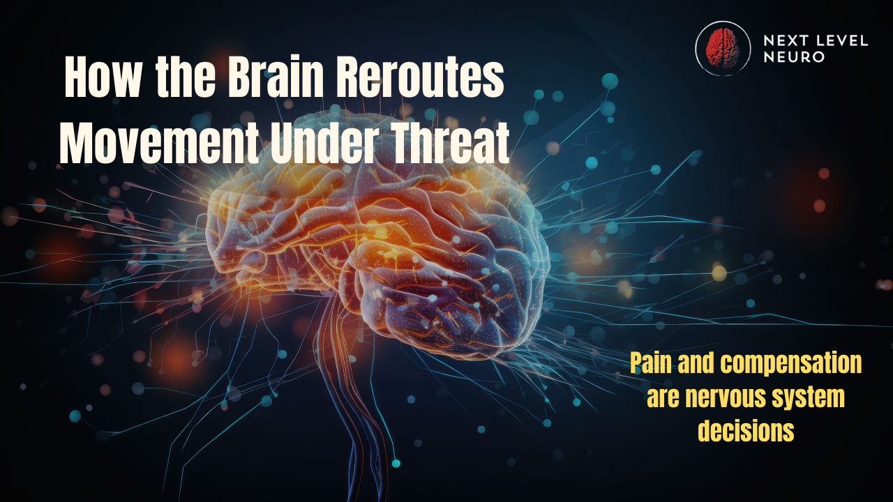 Diagram illustrating how the brain reroutes movement under threat, altering pain, coordination, and strength through nervous system protection.