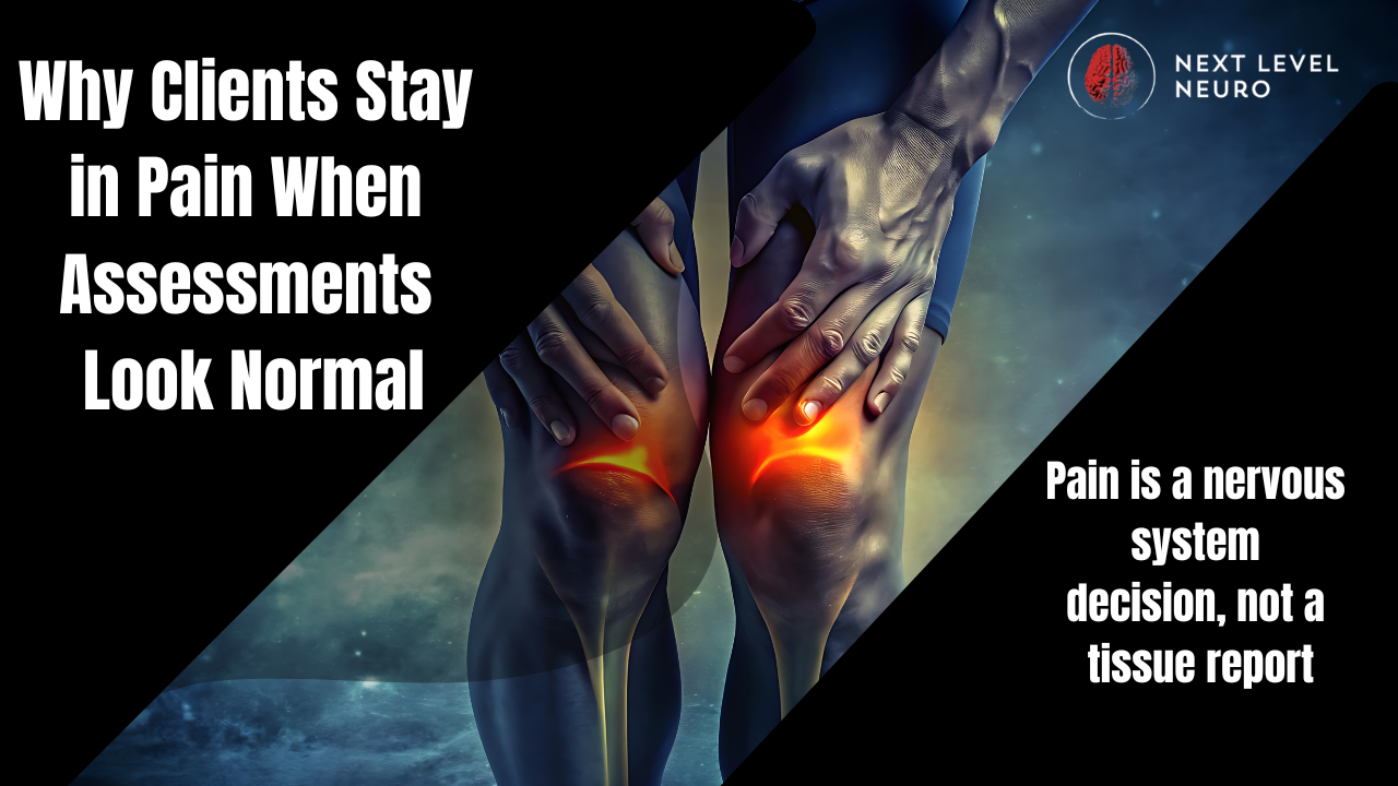 Diagram showing how the nervous system maintains pain and protective movement patterns even when biomechanical assessments appear normal.