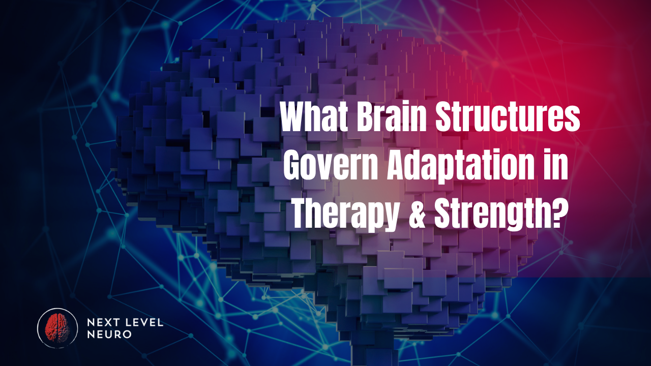 “Diagram showing amygdala, midbrain, hypothalamus, and prefrontal cortex and how they influence movement, recovery, and neural adaptation.”