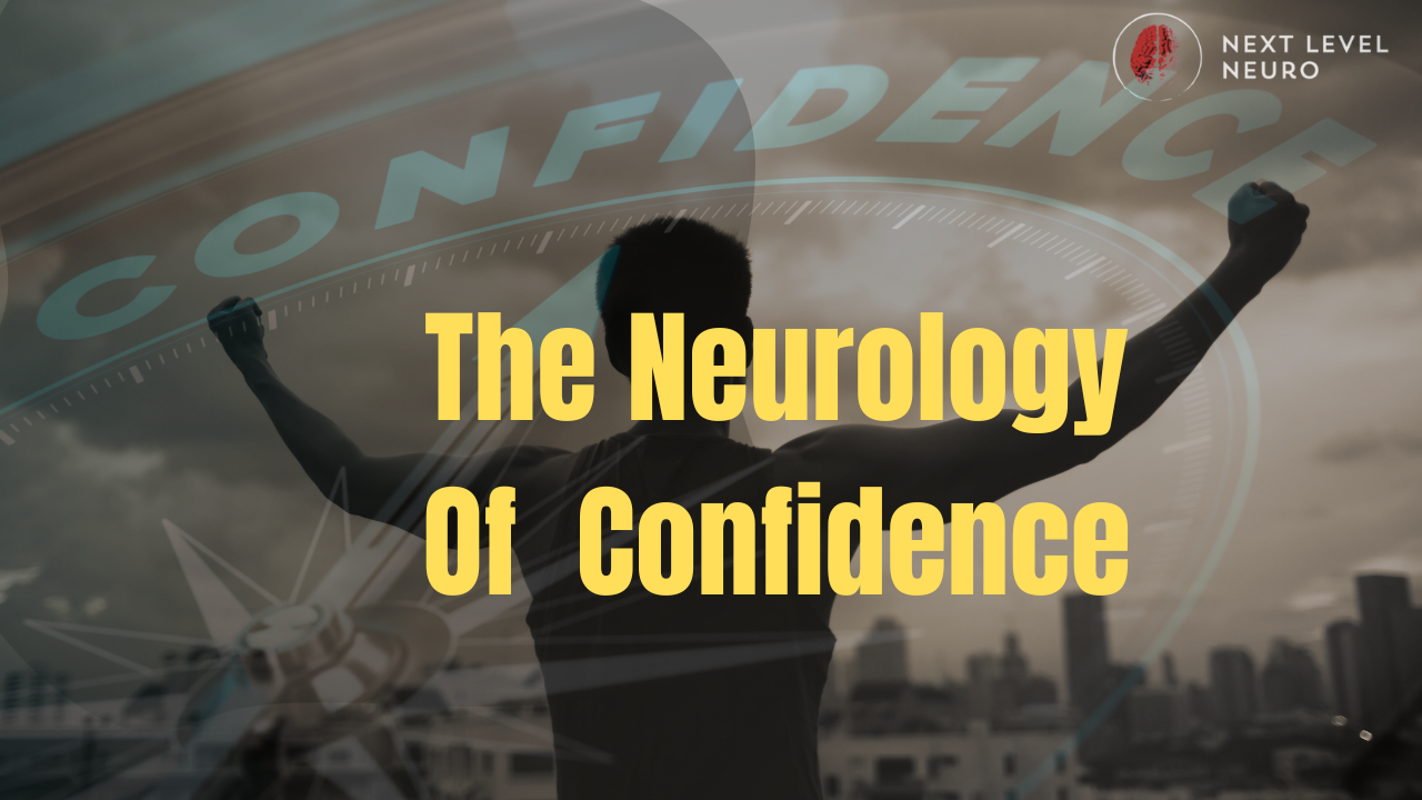 Applied neurology article on clinical confidence for therapists coaches and trainers explaining confidence as a nervous system output