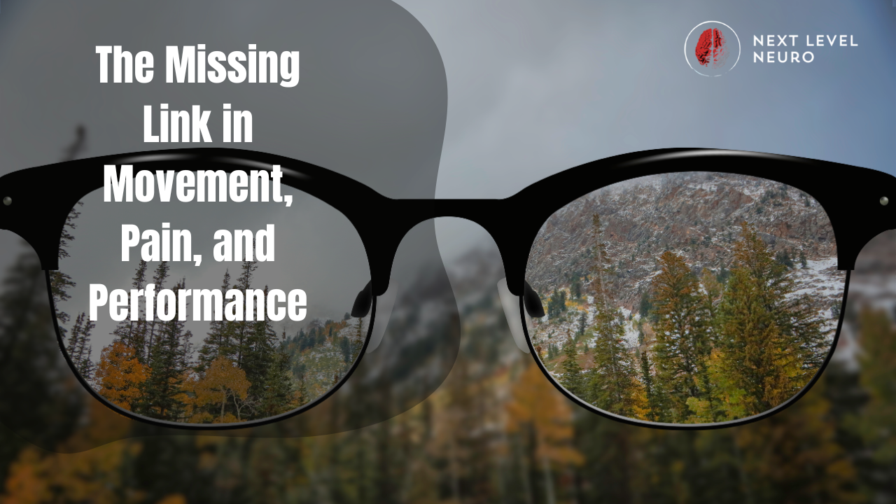 Diagram showing how visual input affects posture alignment and balance