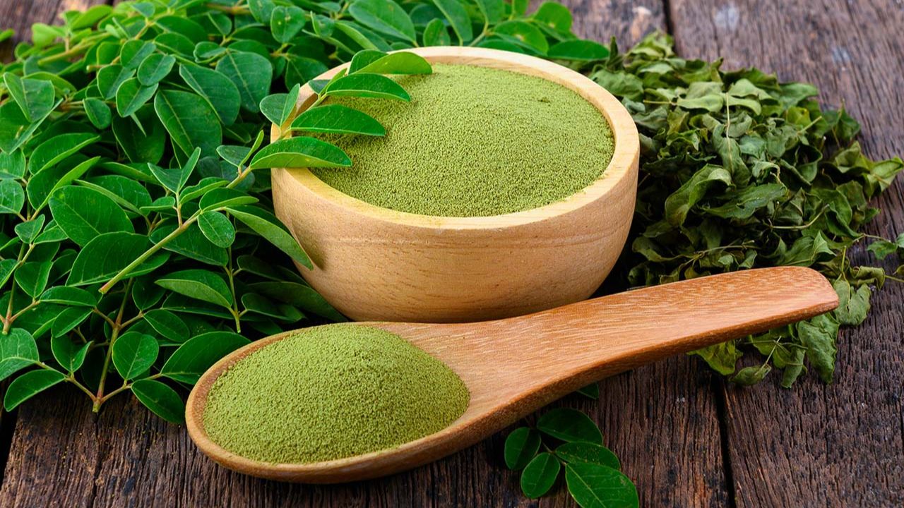 moringa uses