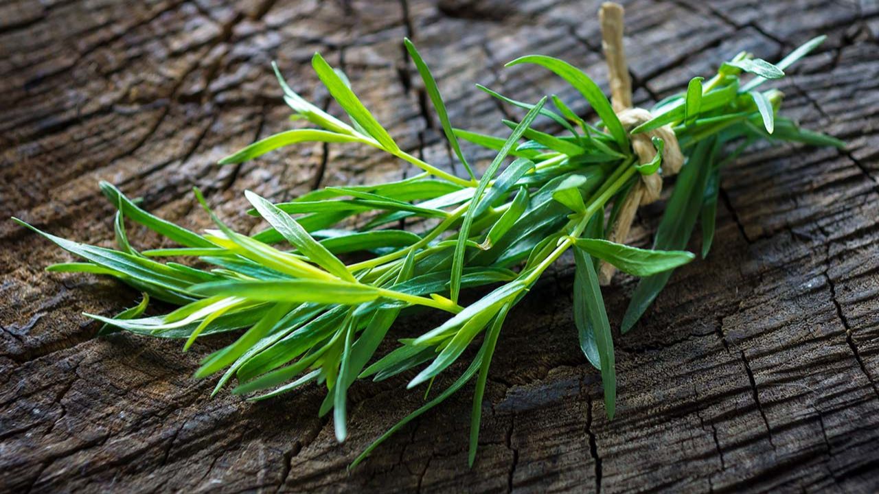 tarragon uses