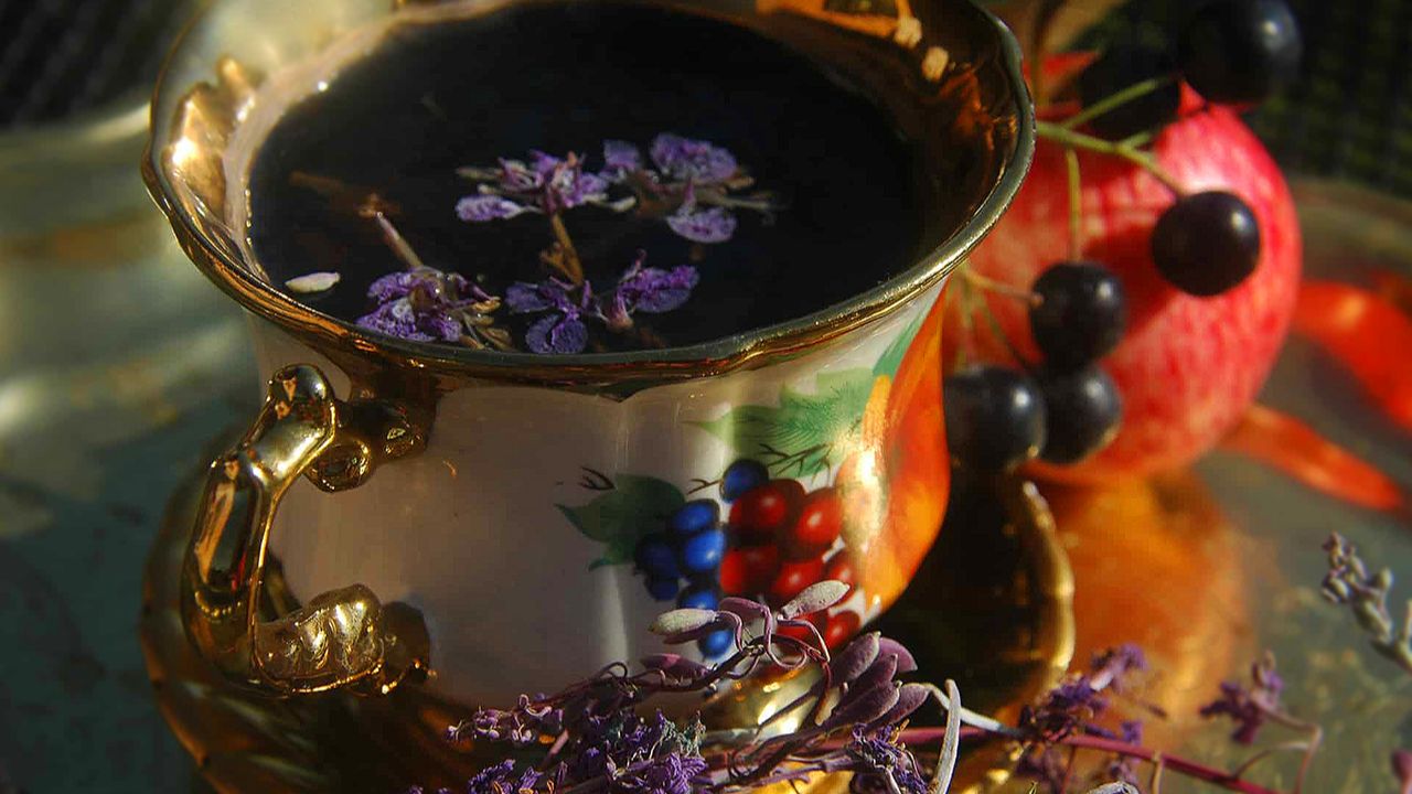 fermented fireweed tea