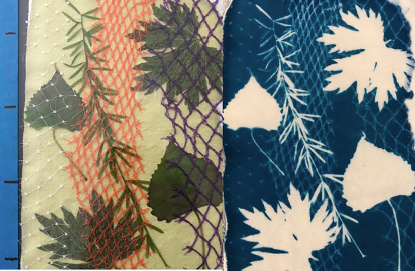 botanical sun prints