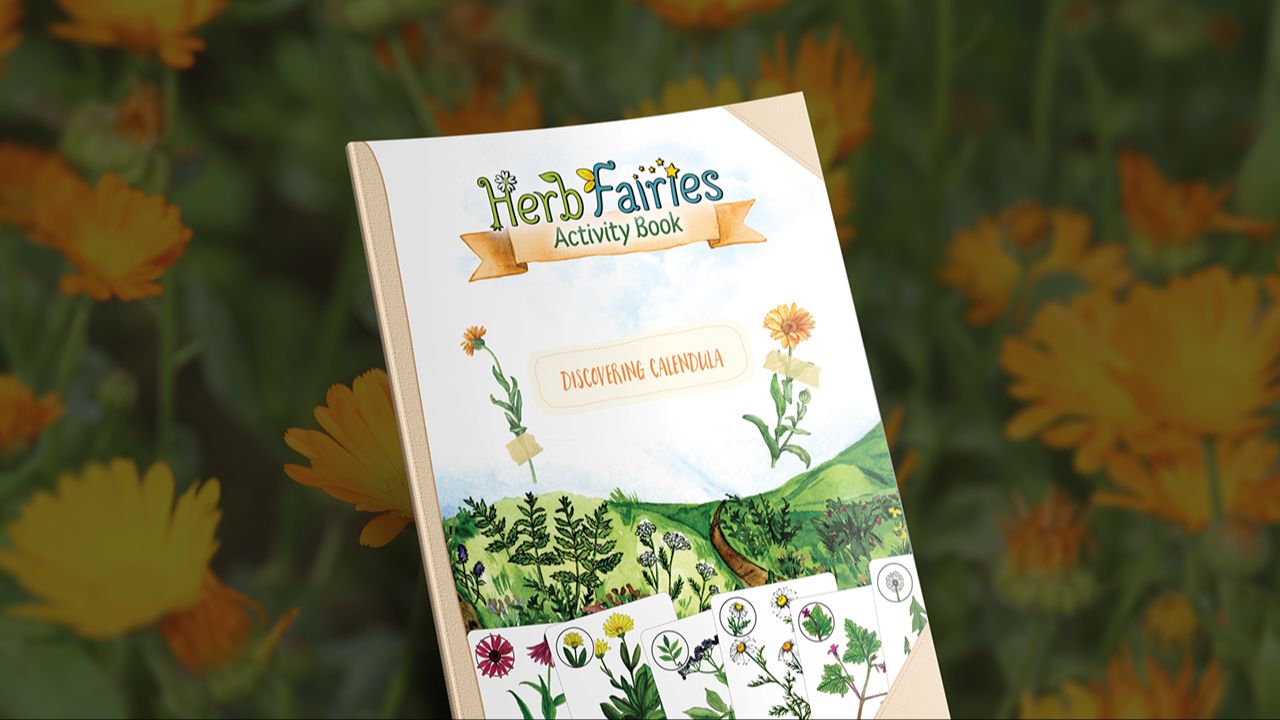 discovering calendula