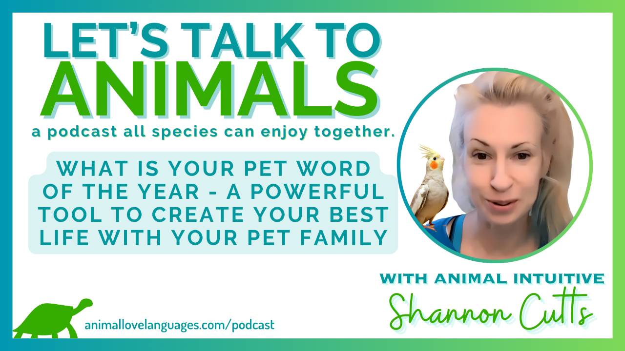Let's Talk to Animals podcast
