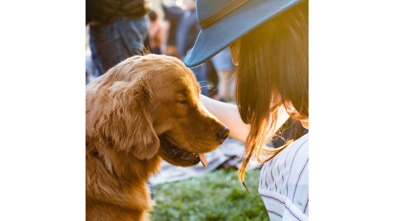 Woman pats dog