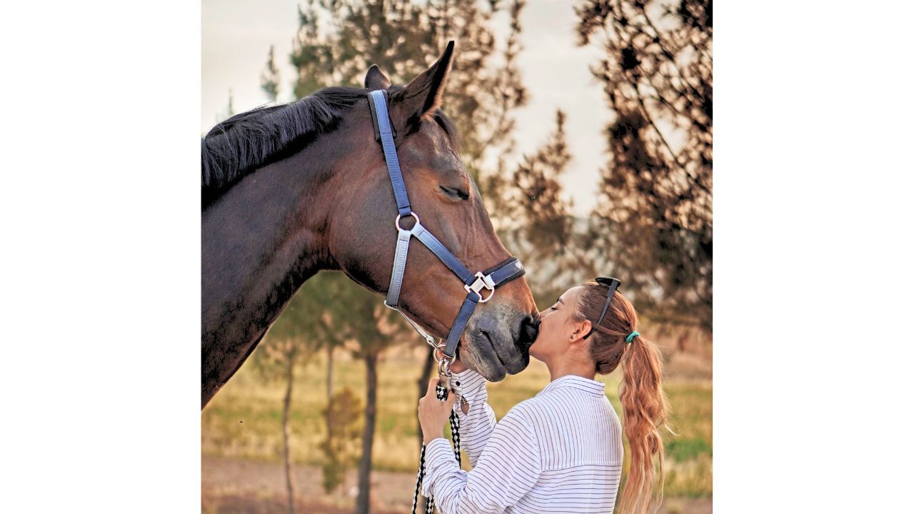 Pet karma woman and horse