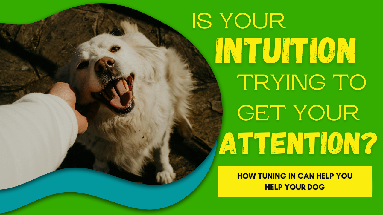 Is Your Intuition Trying to Get Your Attention?
