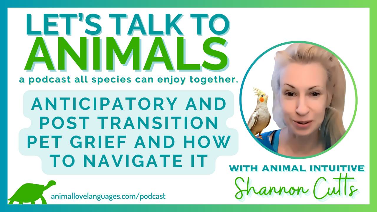 Let's Talk to Animals podcast