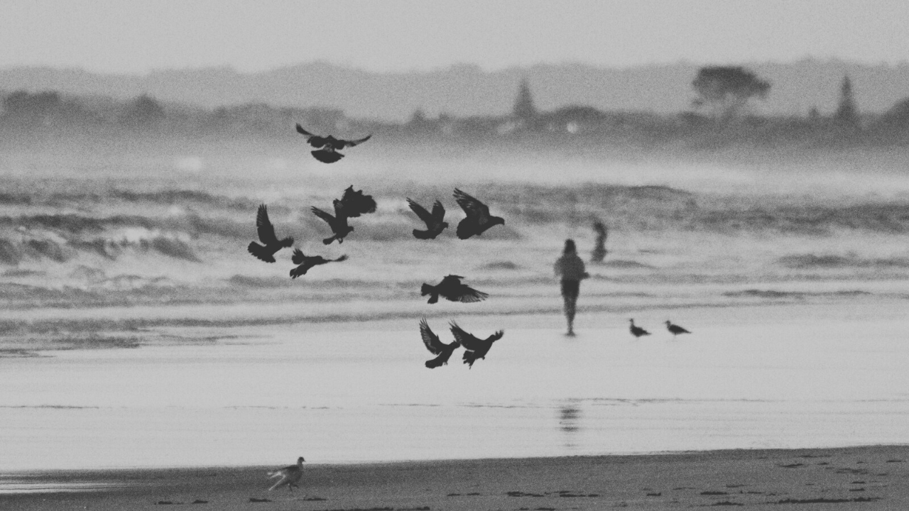 Birds scattering along the shoreline as a person stands alone in the distance, symbolizing partners moving in different directions despite effort.