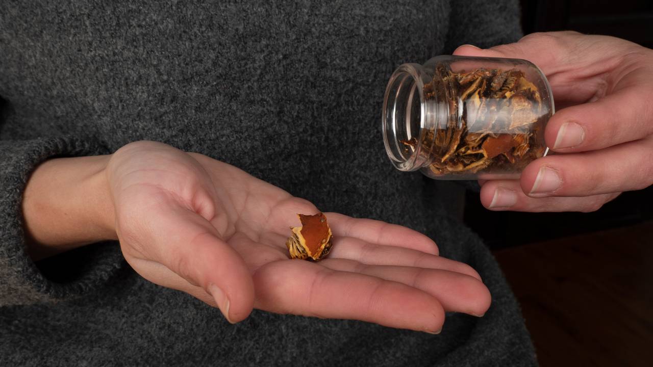 pleine conscience meditation microdosing