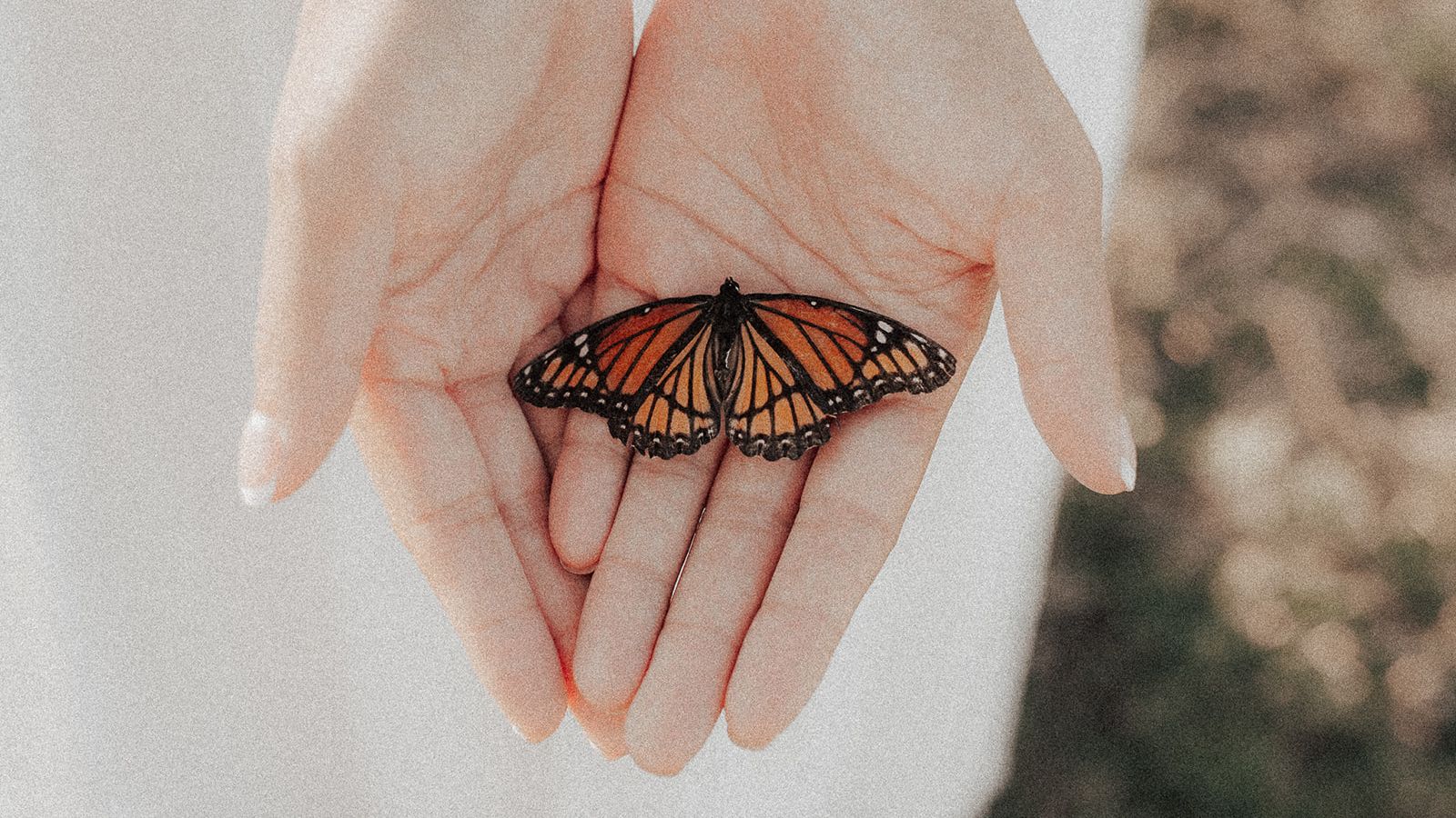 hand with butterfly