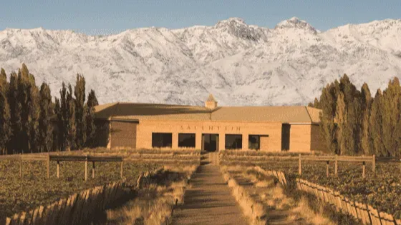 Bodegas de Mendoza